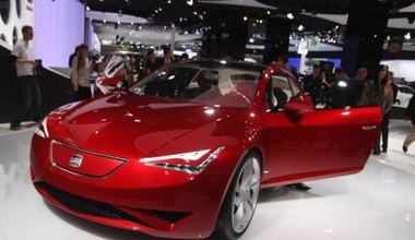 Seat ibe