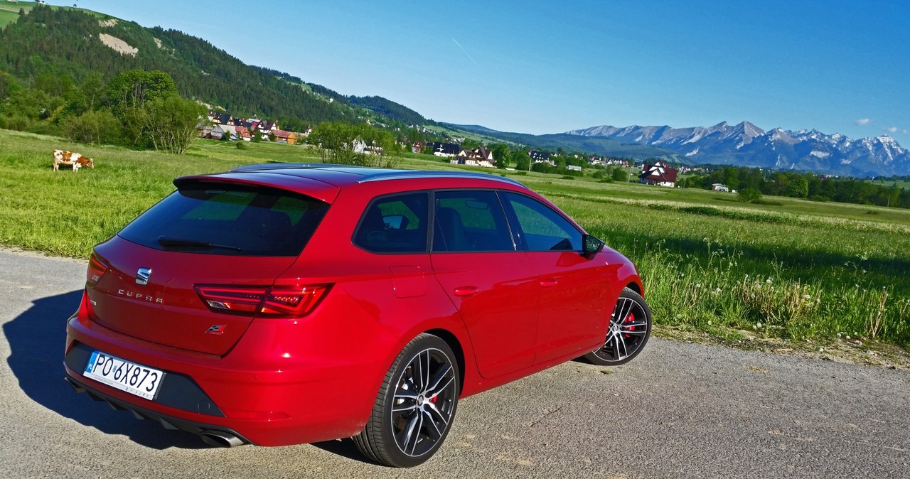 Seat Leon Cupra ST /INTERIA.PL