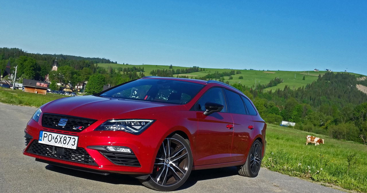 Seat Leon Cupra ST /INTERIA.PL