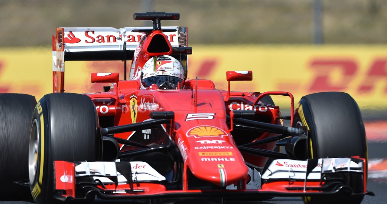 Sebastien vettel triumfuje na Hungaroring /AFP