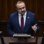 Sejm obradował nad projektem powołania komisji do zbadania tzw. afery wizowej