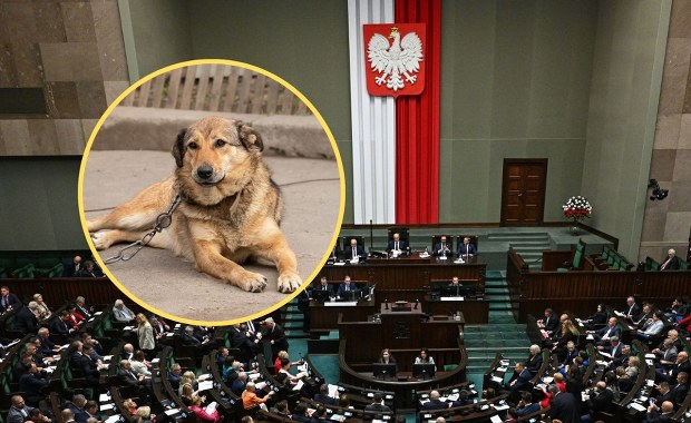 Sejm uchwalił ustawę łańcuchową. Co zakłada? 