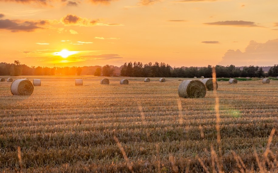Zakaz sprzedaży państwowej ziemi rolnej wydłużony. Jest decyzja Sejmu
