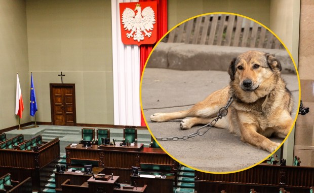 Sejm zdecydował ws. weta prezydenta do ustawy łańcuchowej