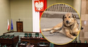 Sejm zdecydował ws. weta prezydenta do ustawy łańcuchowej