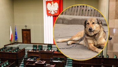 Sejm zdecydował ws. weta prezydenta do ustawy łańcuchowej