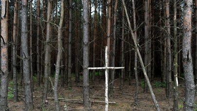 Sejmowe komisje za uchwałą dot. Wołynia: 11 lipca Narodowym Dniem Pamięci Ofiar Ludobójstwa