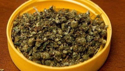 Sejmowy kompromis ws. medycznej marihuany. "Lepszy rydz niż nic"