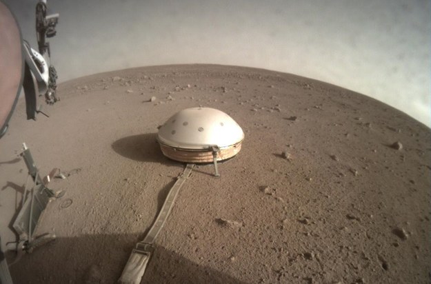 Sejsmometr sondy InSight (w środku). Po lewej wystający z gruntu Kret /NASA/JPL-Caltech /Materiały prasowe