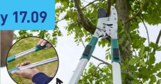 Sekator teleskopowy i rękawice – Twój ogród pokochają te promocje! /Aldi /INTERIA.PL