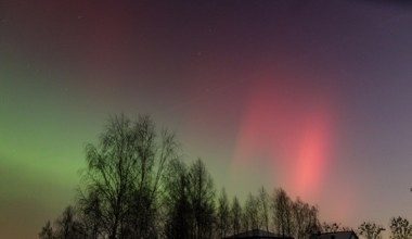 Sekretna paleta barw. Dlaczego zorza polarna zmienia kolory?