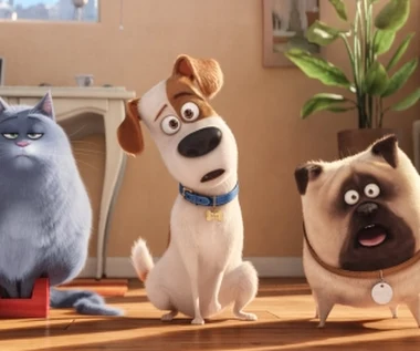 "Sekretne życie zwierzaków domowych" [recenzja]: Bez tanich sentymentów