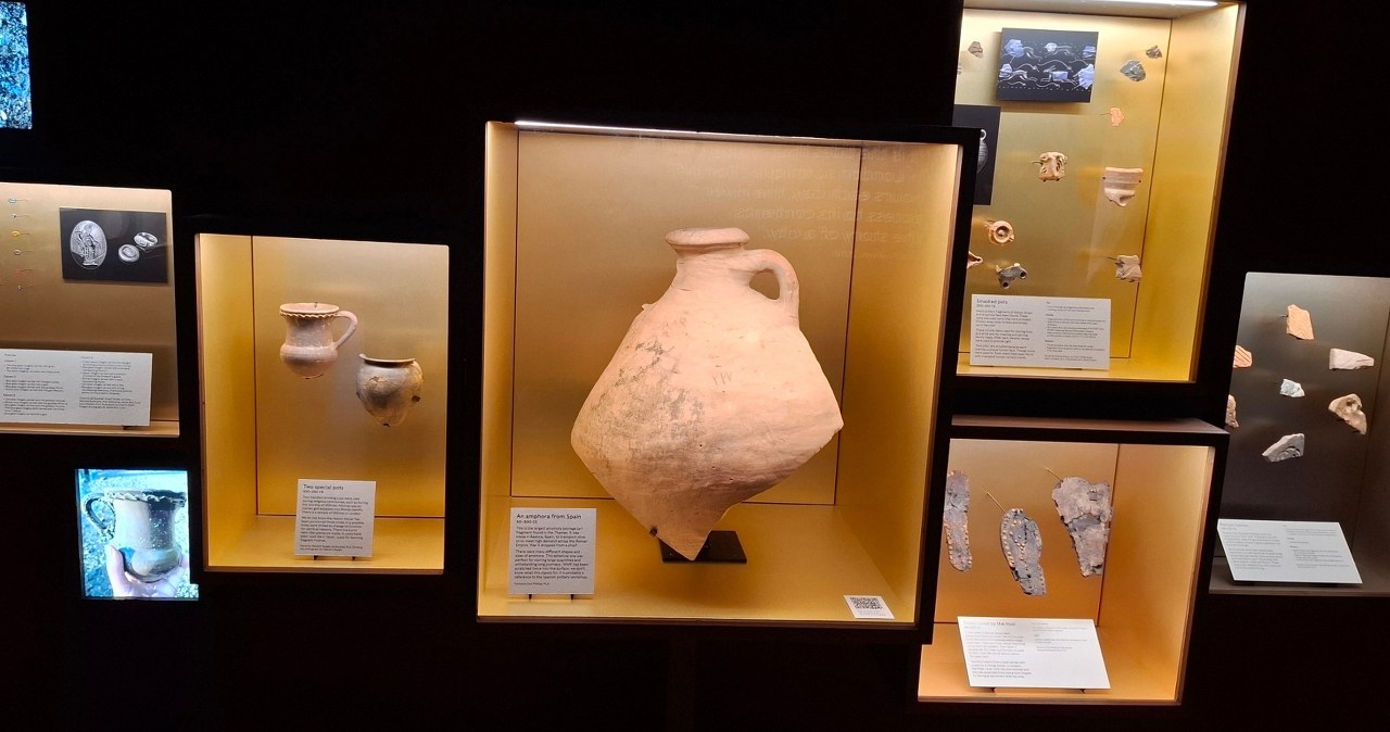 Sekrety Tamizy na zdjęciach. Galeria