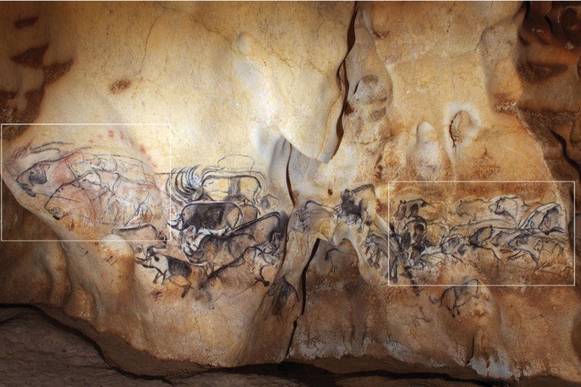Sekwencje obrazów w Grand Panneau Salle du Fond w jaskini Chauvet pokazane w ramkach /J. Clottes, Chauvet Science Team/Azéma & Rivère, 2012, Antiquity /materiał zewnętrzny