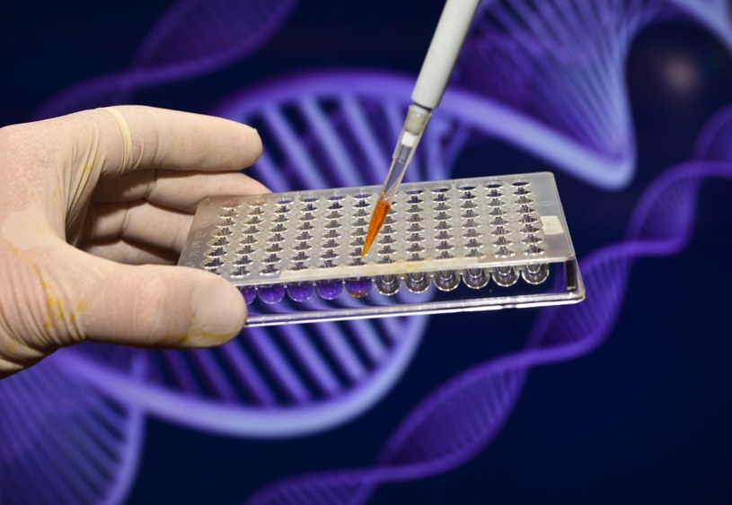Sekwencjonowanie całego genomu w Polsce oferuje tylko jedna placówka, w Wielkiej Brytanii test ten wkrótce może być darmowy /123RF/PICSEL