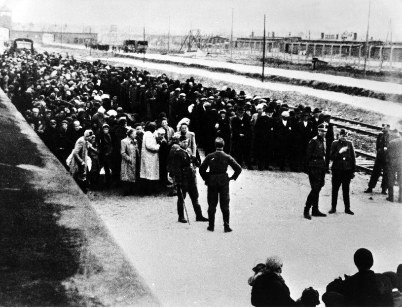 Selekcja na rampie. Auschwitz, 10.08.1944 /Getty Images
