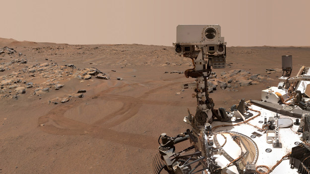 Selfie łazika Perseverance przy skałce Rochette /NASA/JPL-Caltech/MSSS /Materiały prasowe