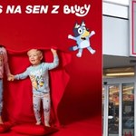 Sen z Bluey: Najsłodsze piżamy dla dzieci w KIK już od 30 zł!