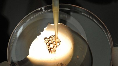 Senackie "tak" dla ustawy ws. in vitro