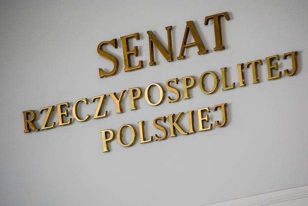 Senat. Fot. Mariusz Gaczyśski /Agencja SE/East News