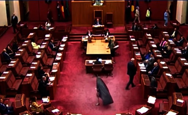 Senator w burce i szpilkach wywołała skandal. Oskarżenia o rasizm i islamofobię