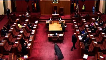 Senator w burce i szpilkach wywołała skandal. Oskarżenia o rasizm i islamofobię