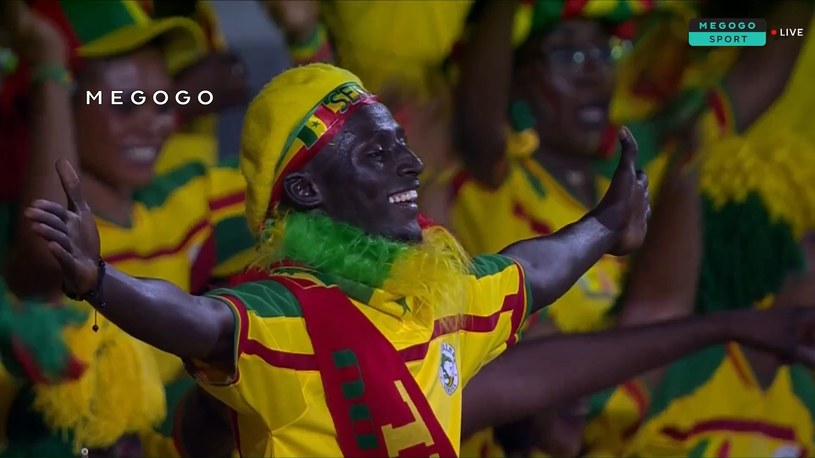 Senegal - Kamerun. 3-1. Skrót meczu. WIDEO