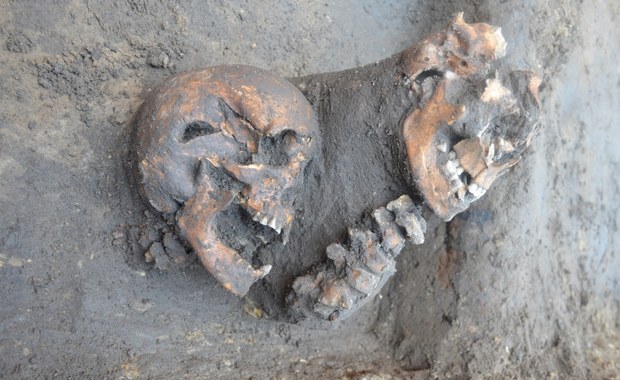 Sensacja archeologiczna w Krakowie. Odkryto największy XV-wieczny cmentarz w mieście