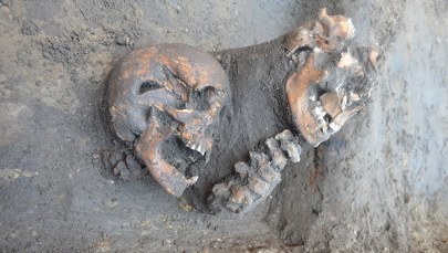 Sensacja archeologiczna w Krakowie. Odkryto największy XV-wieczny cmentarz w mieście