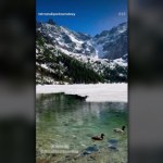 Sensacja nad Morskim Okiem. Bóbr pierwszy raz uchwycony na wideo