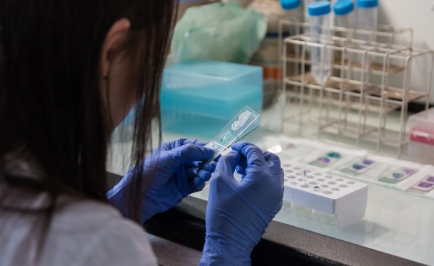 Sensacyjne doniesienia z Chin. Urodziły się genetycznie zmodyfikowane bliźniaczki