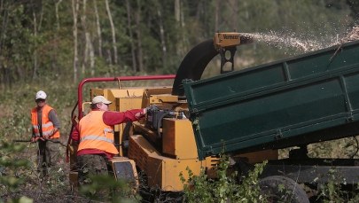 Sensacyjne odkrycia na Dolnym Śląsku. Czy złamano prawo? 