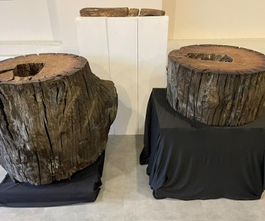 Sensacyjne odkrycie w Polsce. To może być najstarsza barć na świecie