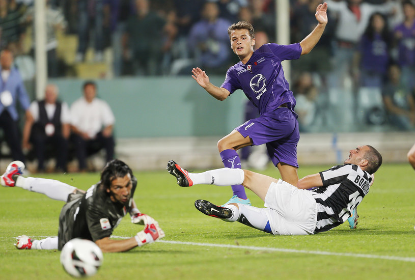 Serb Adem Ljajic nie wykorzystał świetnej sytuacji, aby pokonać bramkarza Juventusu /AFP