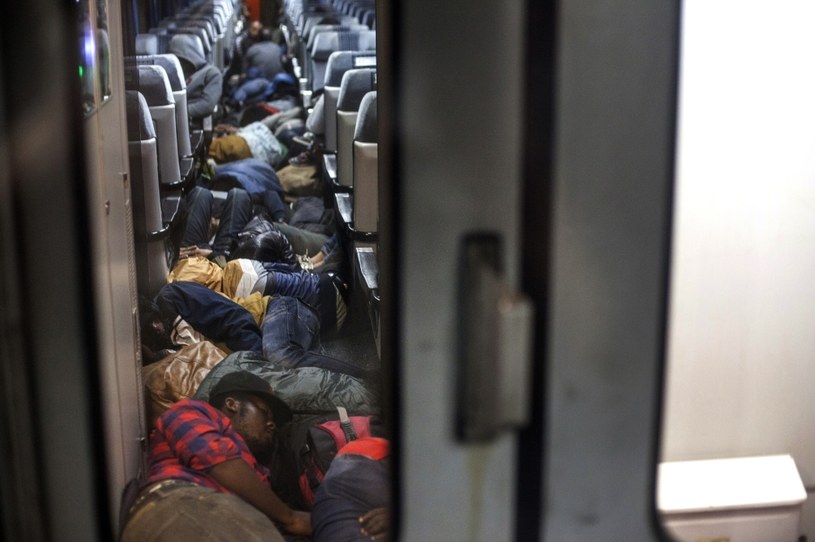 Serbia: Imigranci jadą pociągiem w kierunku Węgier /AFP