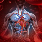 Serce, które zasila się samo - przełom w kardiologii?