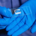 serce "Serce na chipie". Pomoże w walce z najczęstszą przyczyną zgonów