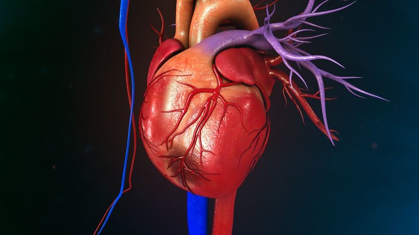Nietypowe Objawy Zawału Serca Porady W Interiapl 4354