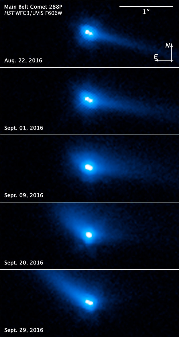 Seria kolejnych zdjęć pokazujących ewolucję 288P we wrześniu 2016 roku /NASA, ESA, and J. Agarwal (Max Planck Institute for Solar System Research) /Materiały prasowe
