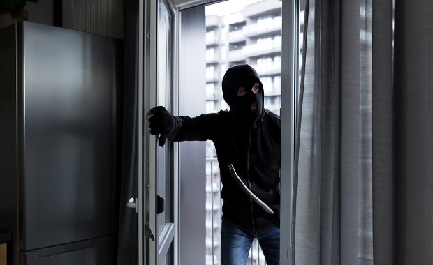 Seria włamań w Nowosolnej w Łódzkiem. Złodzieje w rękach policji 