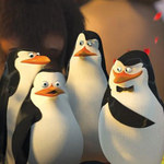 Serial o pingwinach z "Madagaskaru"