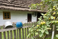 Serialowa Adamczycha, czyli skansen w Kolbuszowej. Galeria