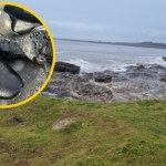 Setki butów z XIX wieku nagle pojawiły się na plaży. Skąd się tam wzięły?