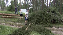 Setki powalonych drzew w Borach Tucholskich. "Bardzo duże straty"