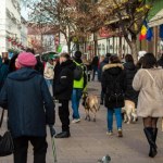 Setki tysięcy osób bez wody. Wielka awaria wodociągów w Rumunii