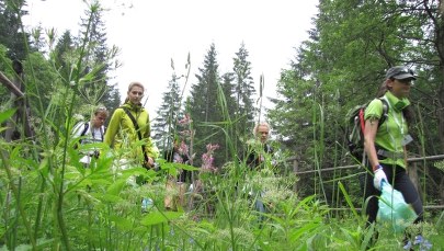 Setki wolontariuszy na szlakach. Walczą o Czyste Tatry!