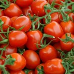 Setki zachorowań w Europie. Słynne sycylijskie pomidory winne epidemii salmonelli? 