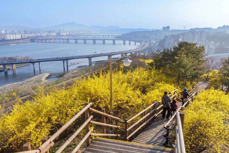 Seul, Korea Południowa /Shutterstock