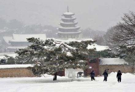 Seul pokryty śniegiem /AFP