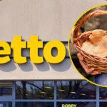 Sezon grzybowy w pełni. Netto przecenia akcesoria dla grzybiarzy już od 5,40 zł